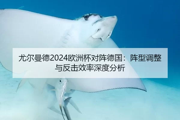 尤尔曼德2024欧洲杯对阵德国：阵型调整与反击效率深度分析